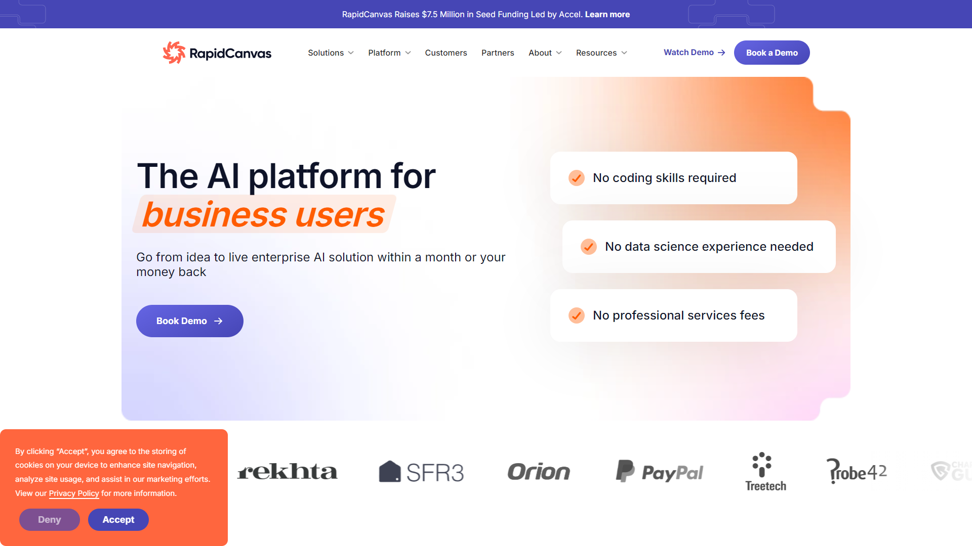 RapidCanvas screenshot