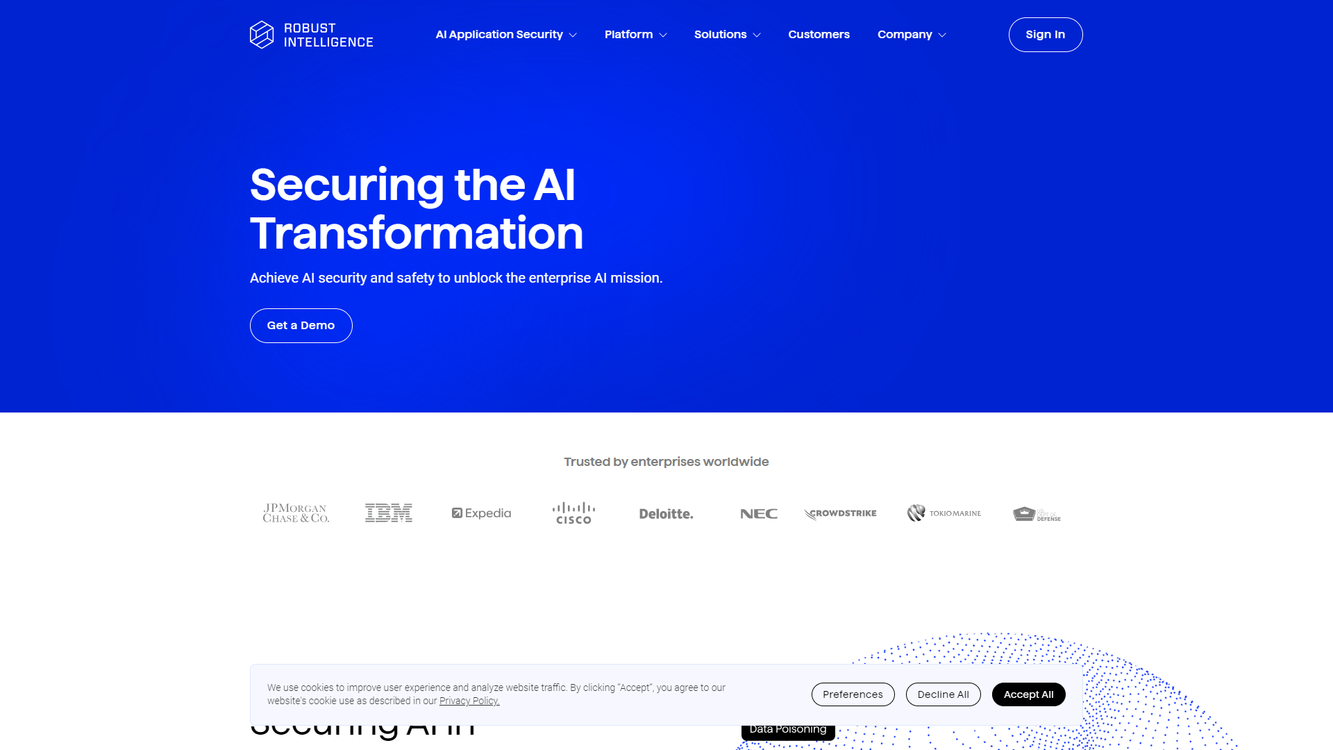 Robust Intelligence screenshot