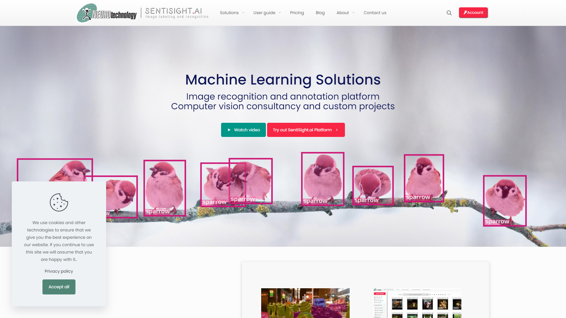 SentiSight AI screenshot