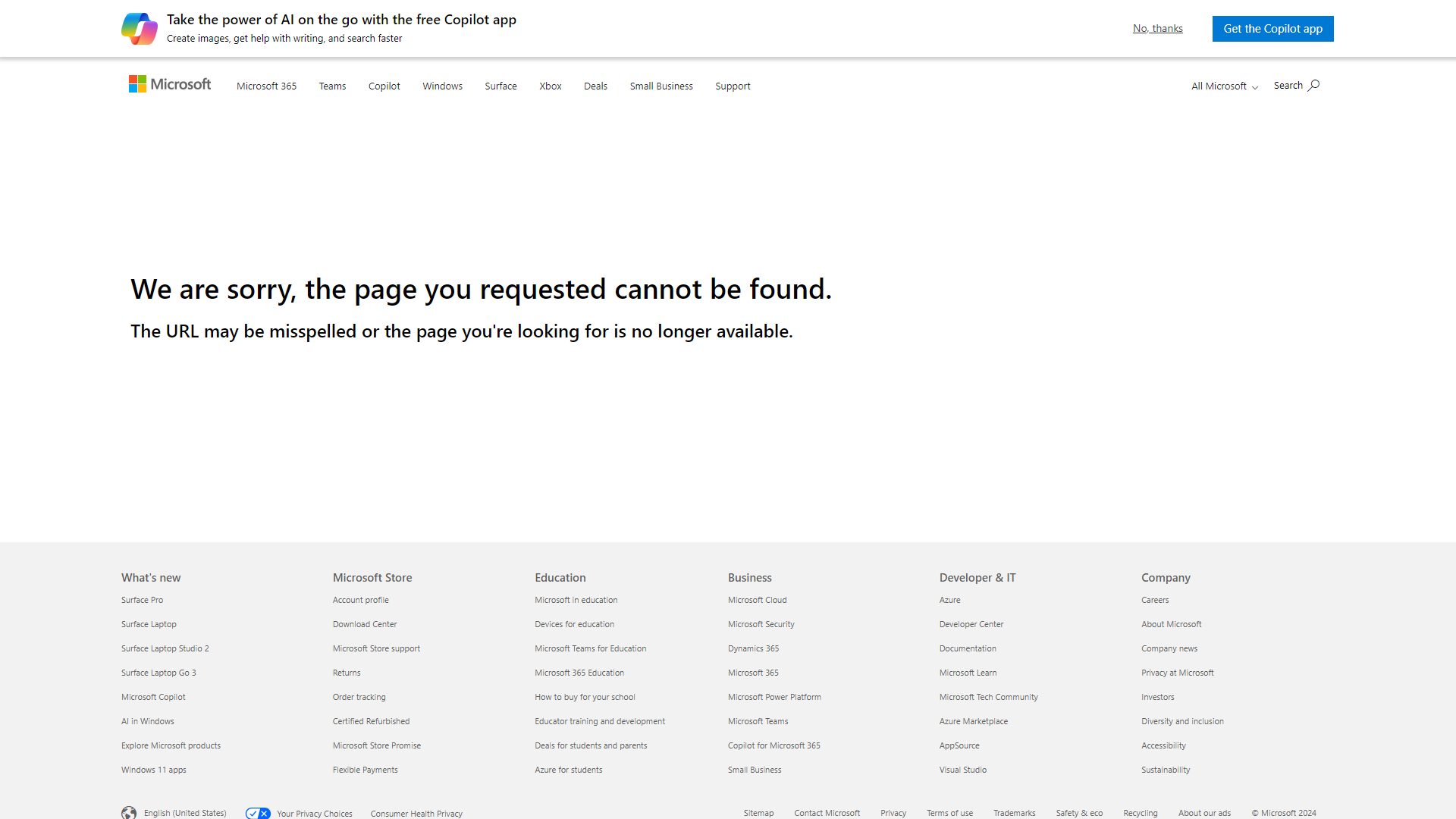Microsoft Copilot screenshot